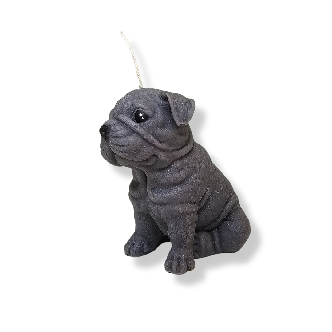 🐾 🖤 Monsieur Buldoque