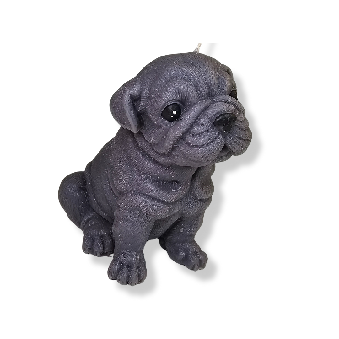 Vela | Bulldog Baby