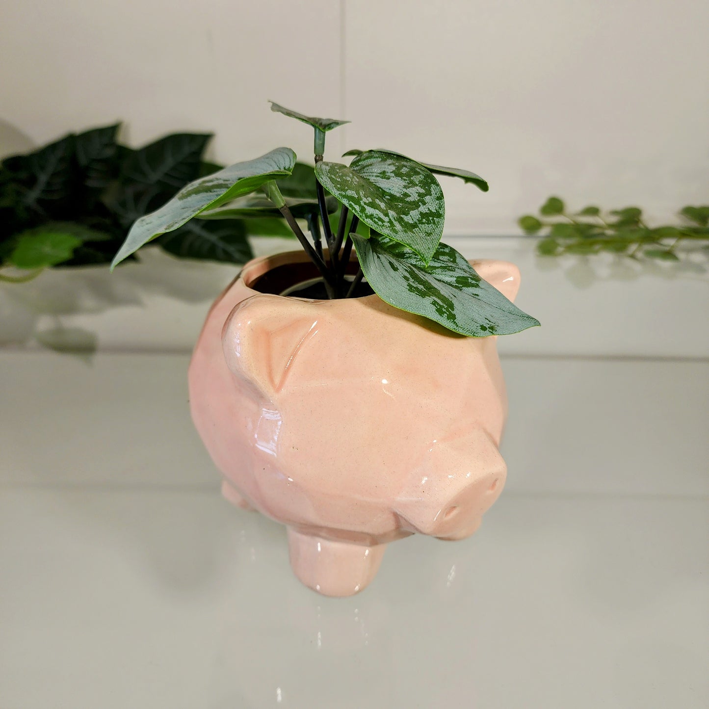 Maceta Puerquito Geometrico