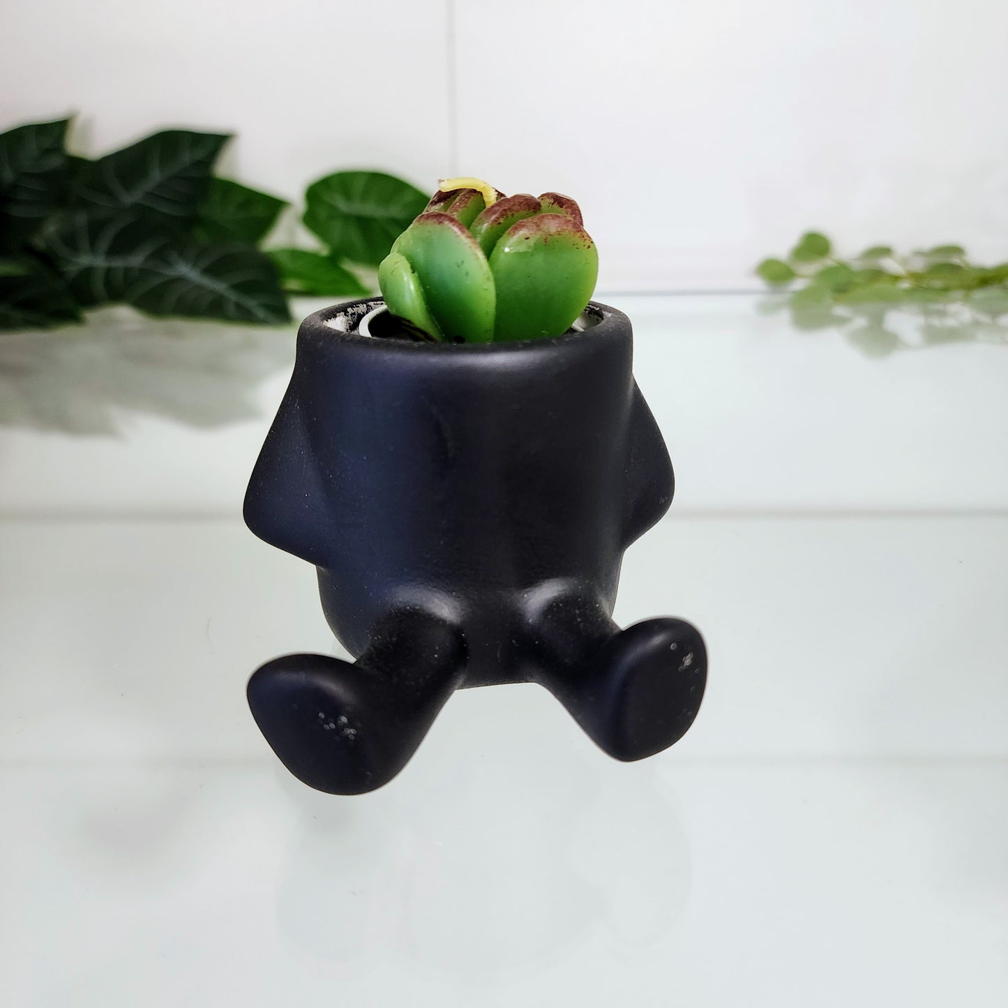 Maceta Patitas Encantadoras