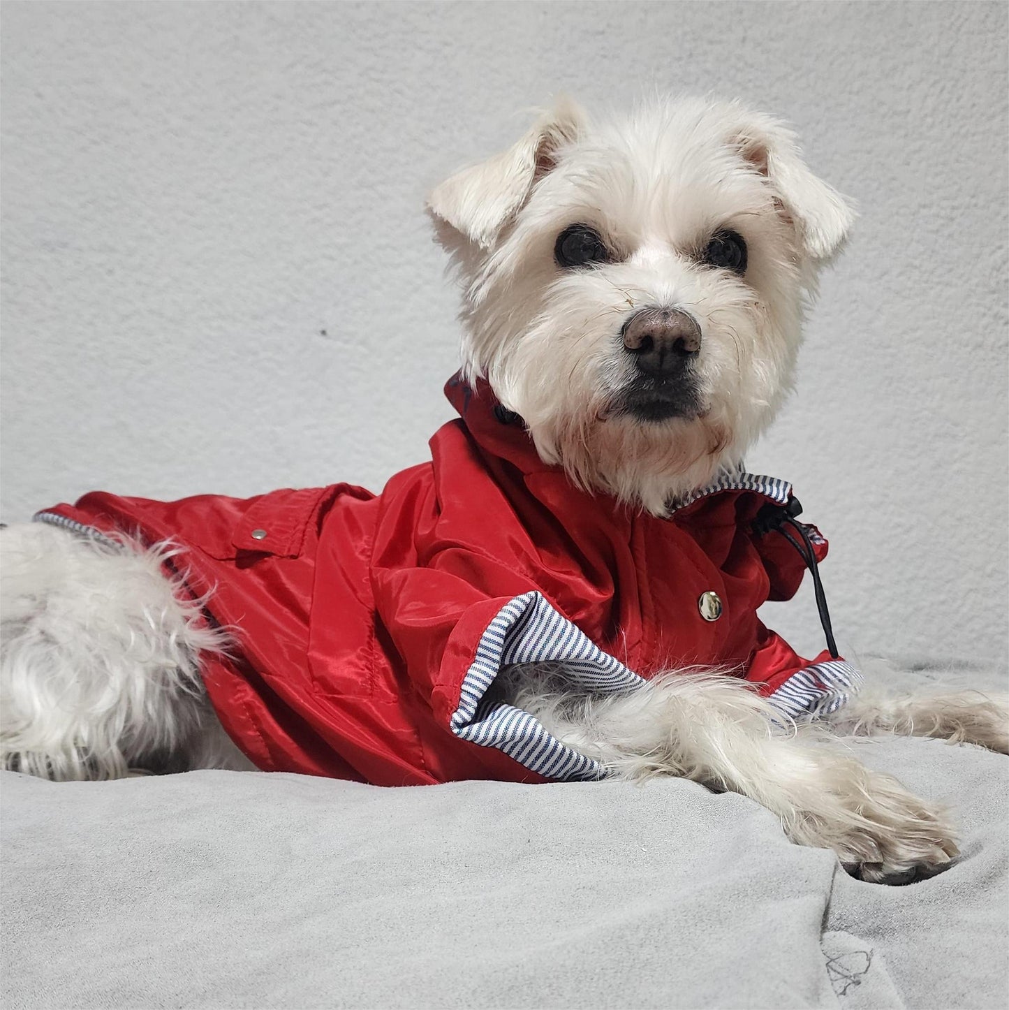Chamarra Roja Repelente para Perrito
