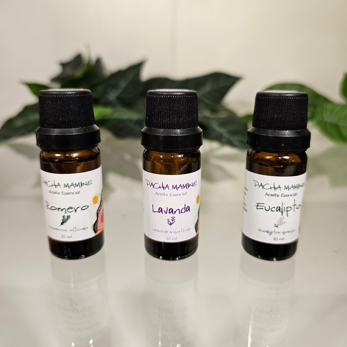 Estuche de 10 Aceites Esenciales Amarillo Neon