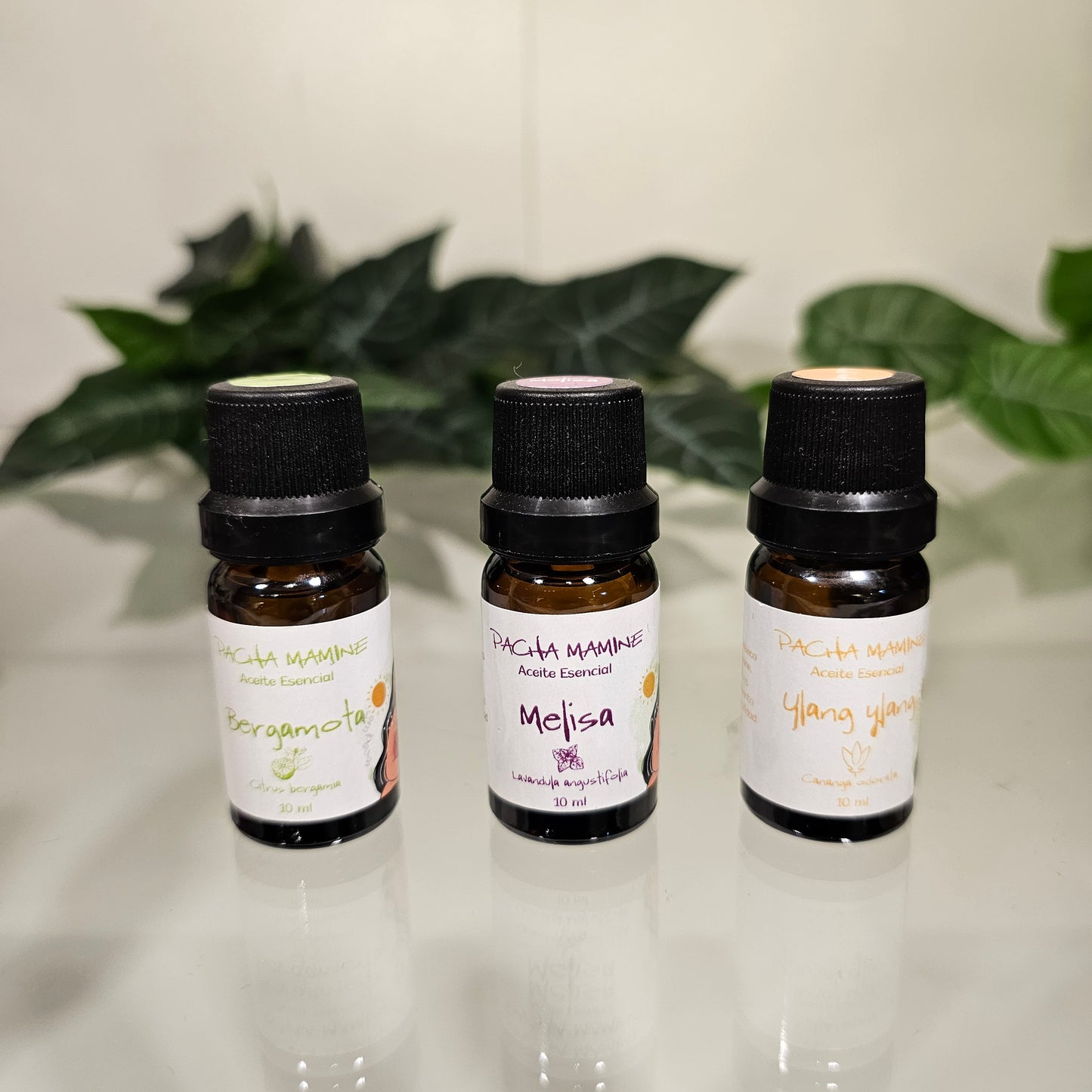 Estuche de 10 Aceites Esenciales Rosa