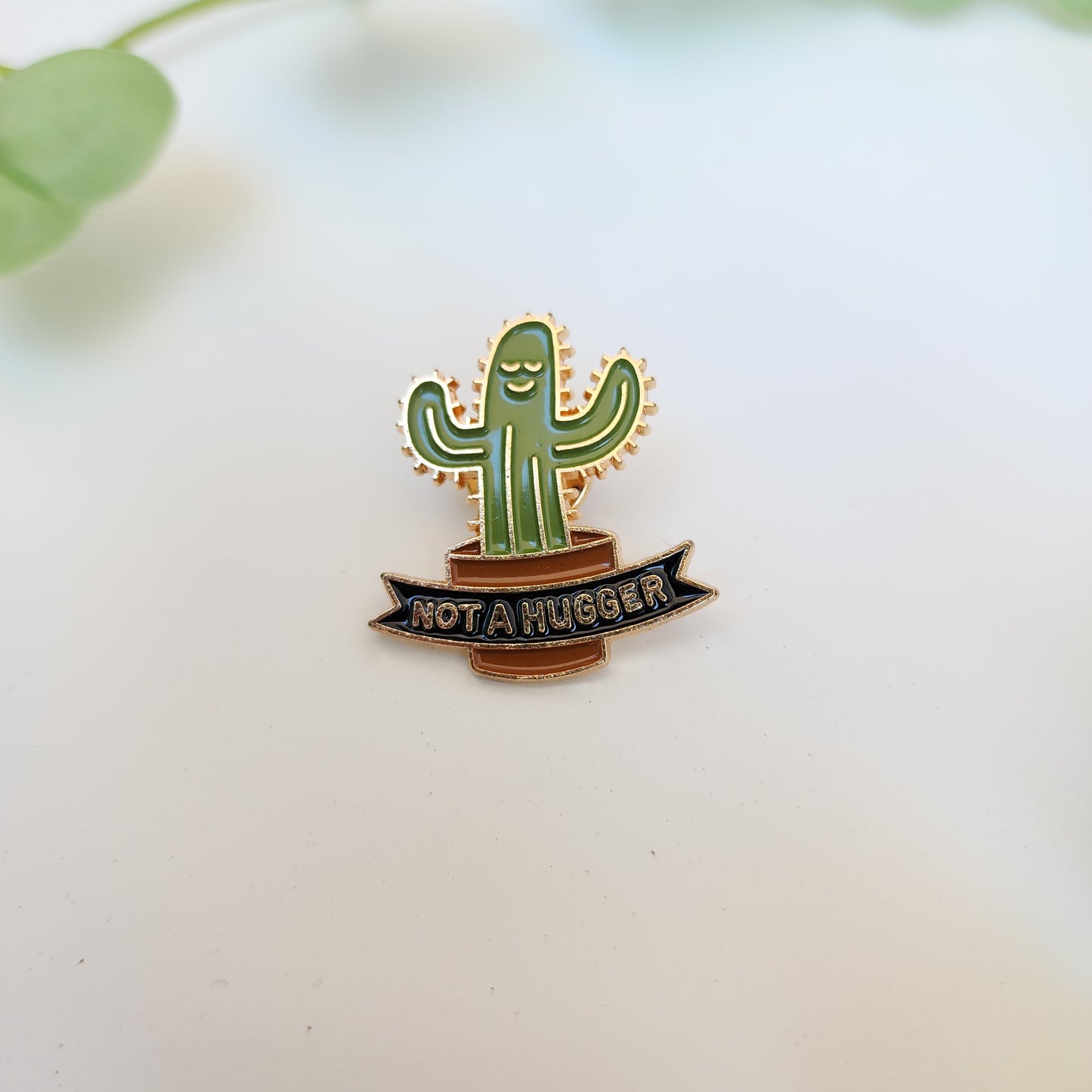 Pin Not a Hugger