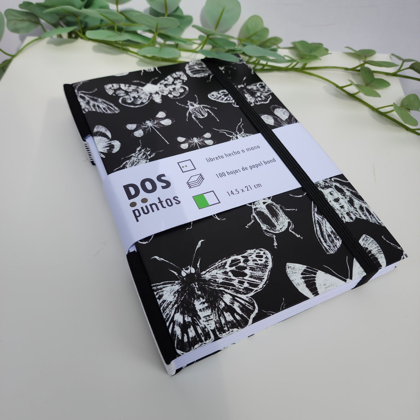 Libreta Insectos