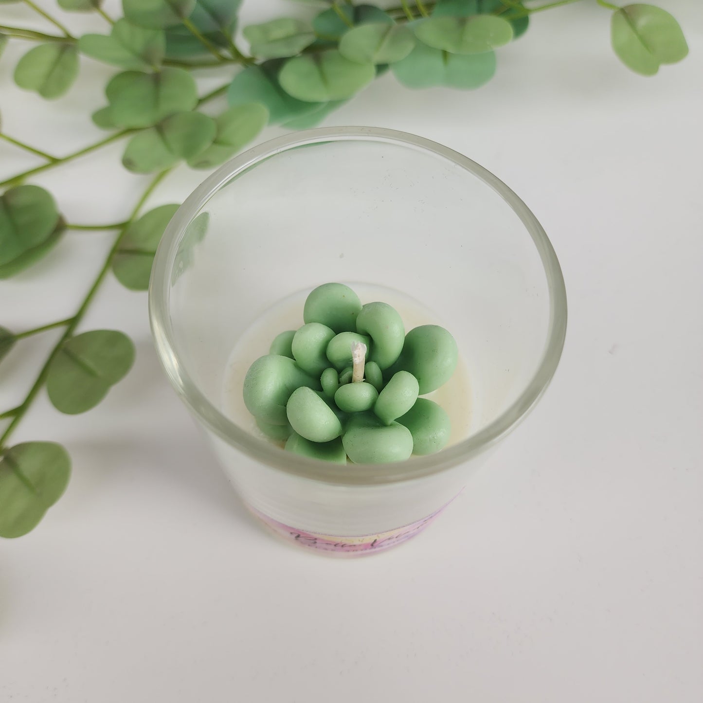 Vela De Suculenta Olor a Eucalipto