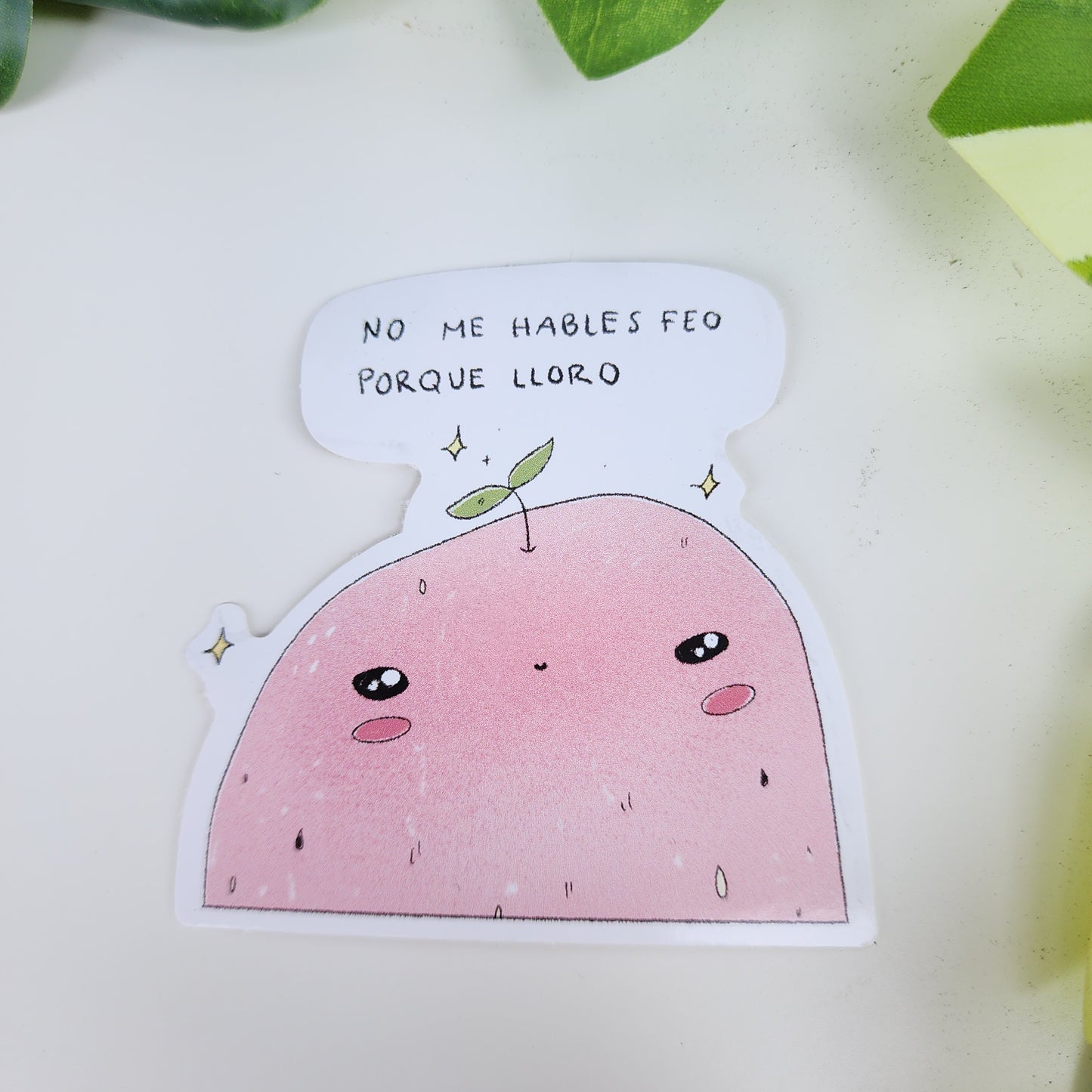 Sticker No Me Hables Feo Porque Lloro