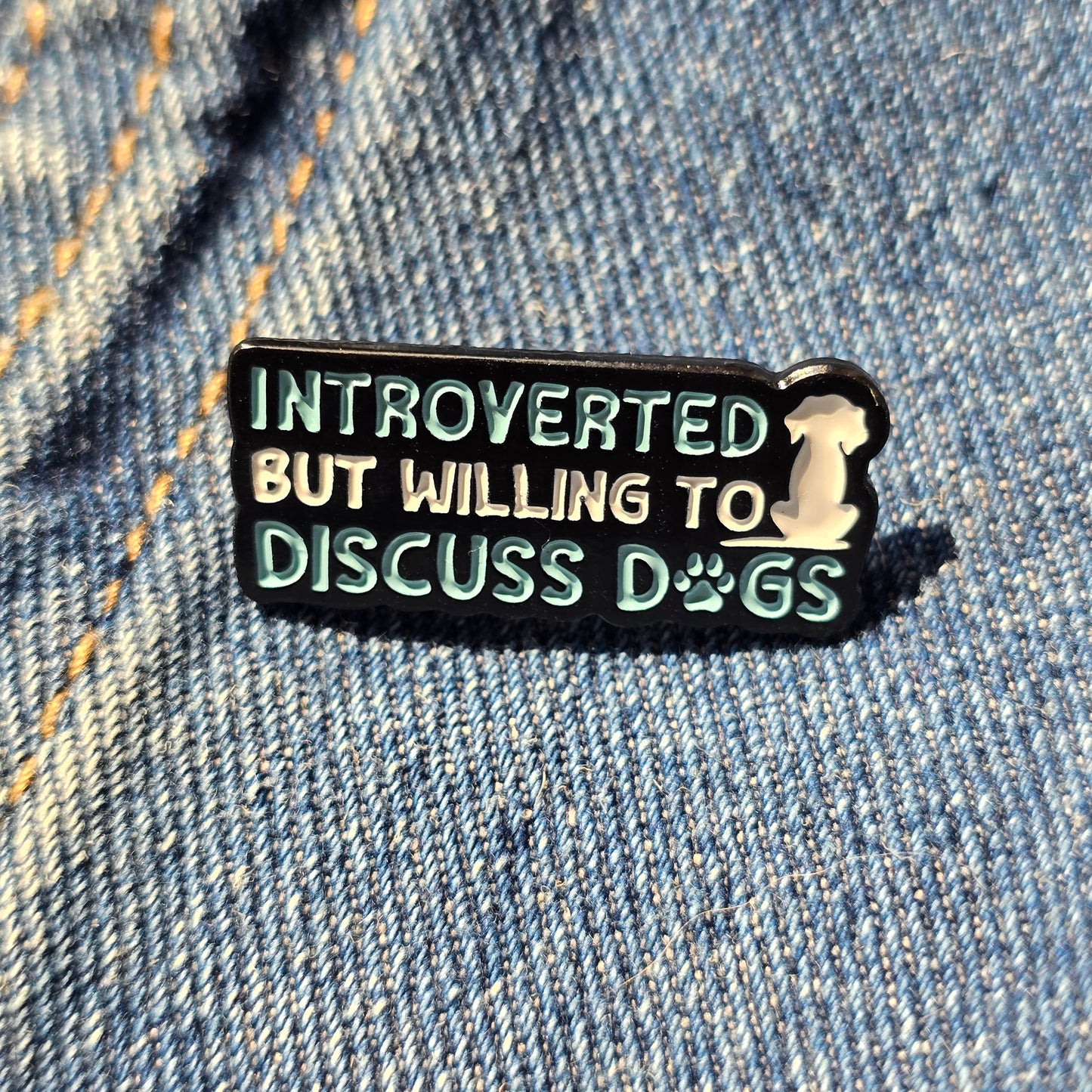 Pin Introvert But