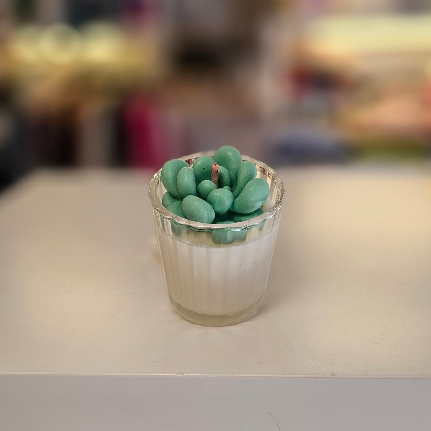 Vela - Mini Suculenta Cítricos