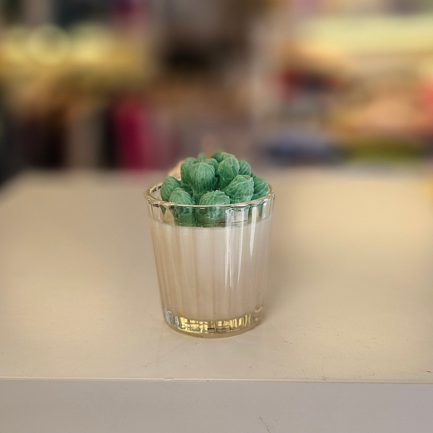 Vela - Mini Suculenta Cítricos