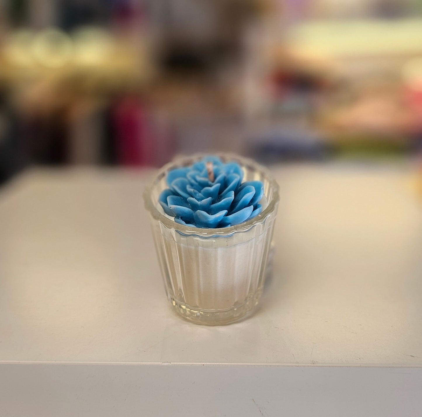 Vela - Mini Suculenta Menta