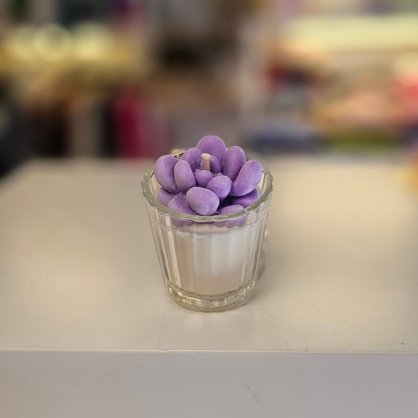 Vela - Mini Suculenta Lavanda