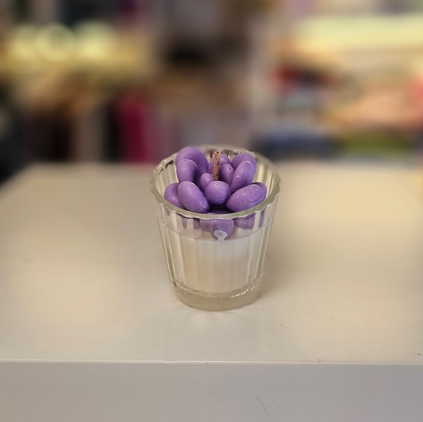 Vela - Mini Suculenta Lavanda