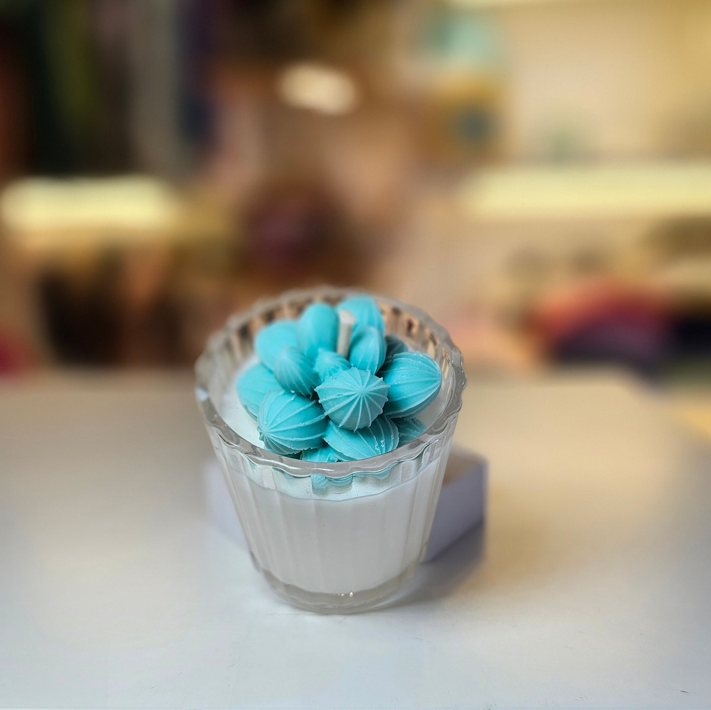 Vela - Mini Suculenta Menta