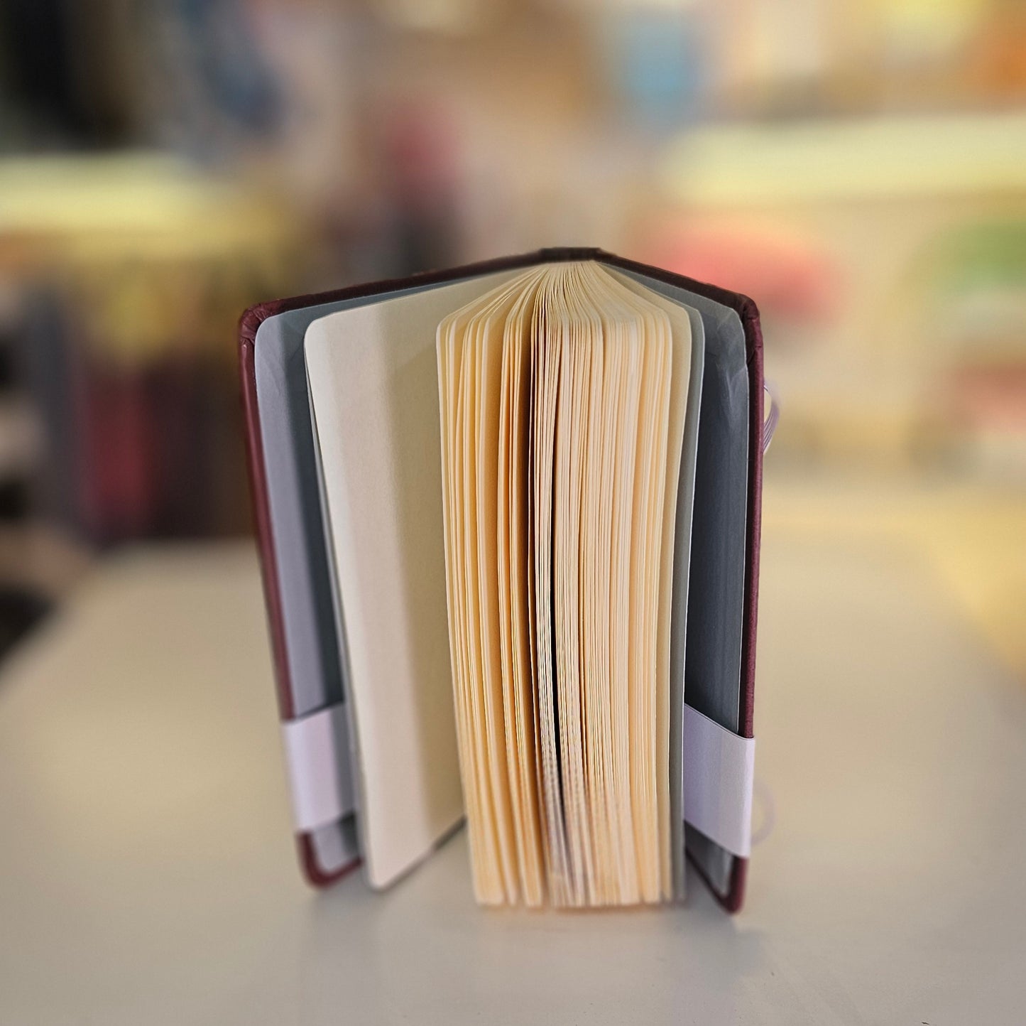 Libreta De Bolsillo Gryffindor