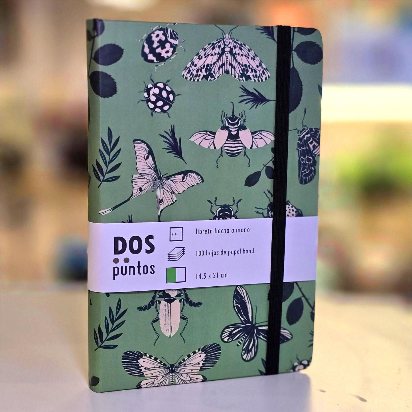 Libreta Verde Insectos Hojas Rayadas