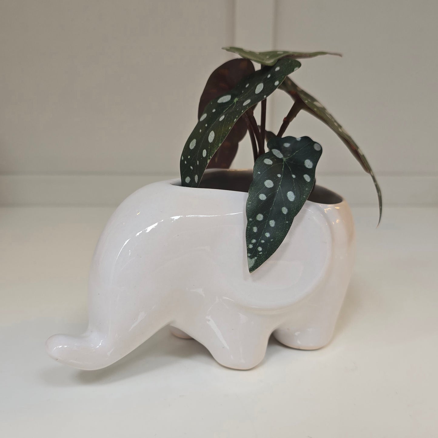 🐘 Maceta Elefante – Blanco Suave