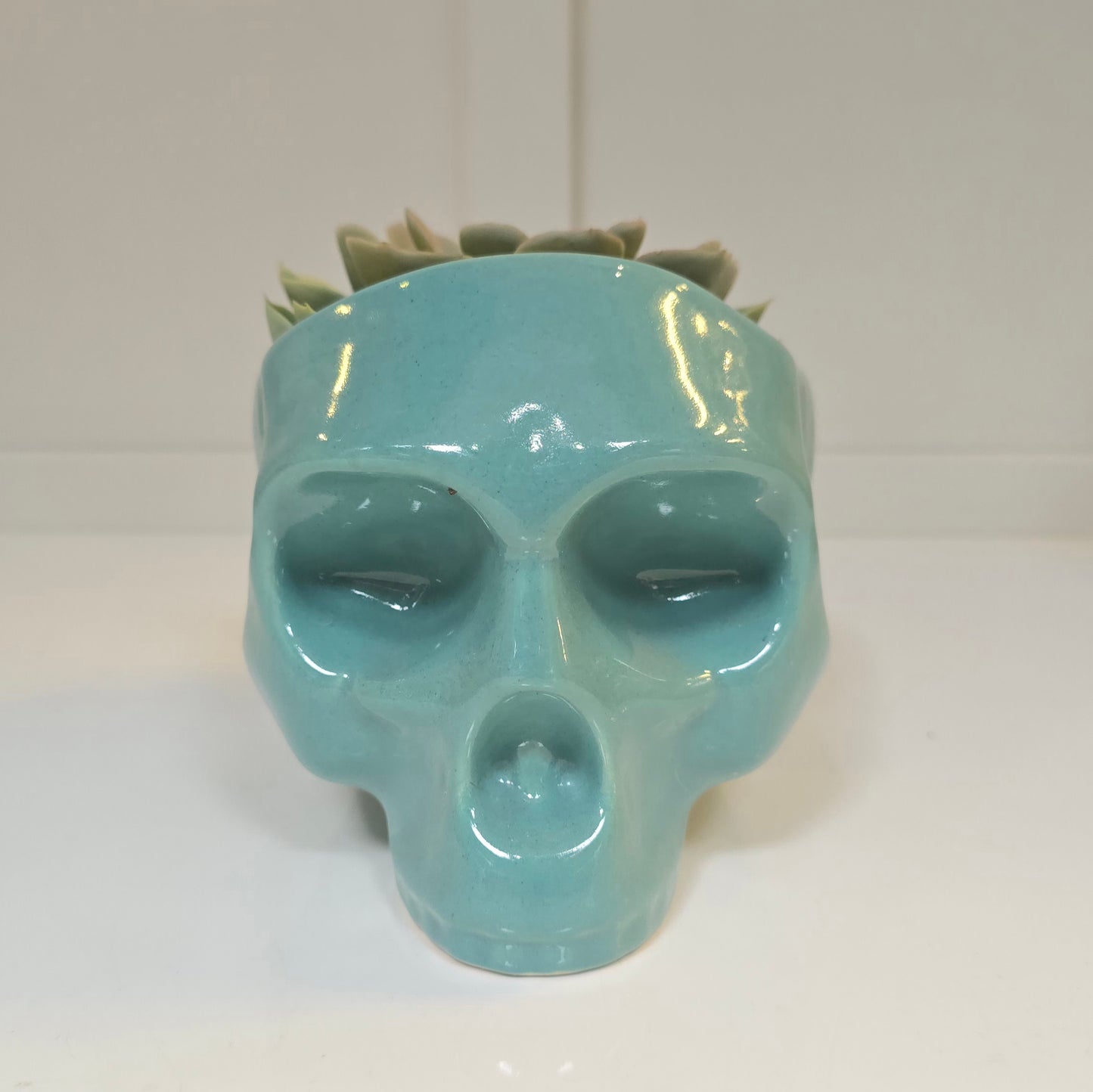 💀 Maceta Calavera Turquesa – Edición Pop