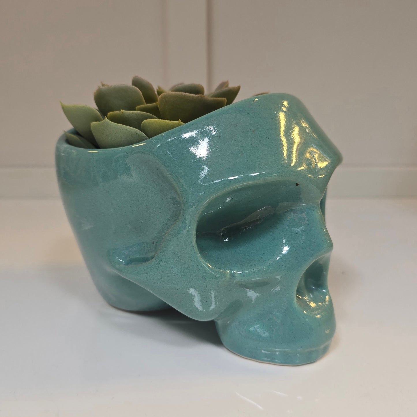 💀 Maceta Calavera Turquesa – Edición Pop