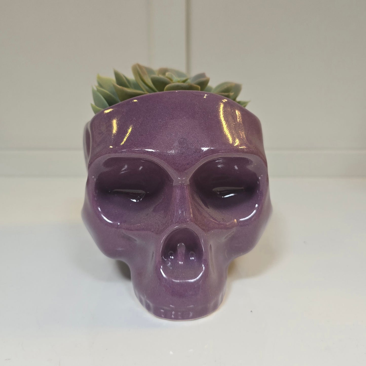 💀 Maceta Calavera Lila – Edición Rebel Glam