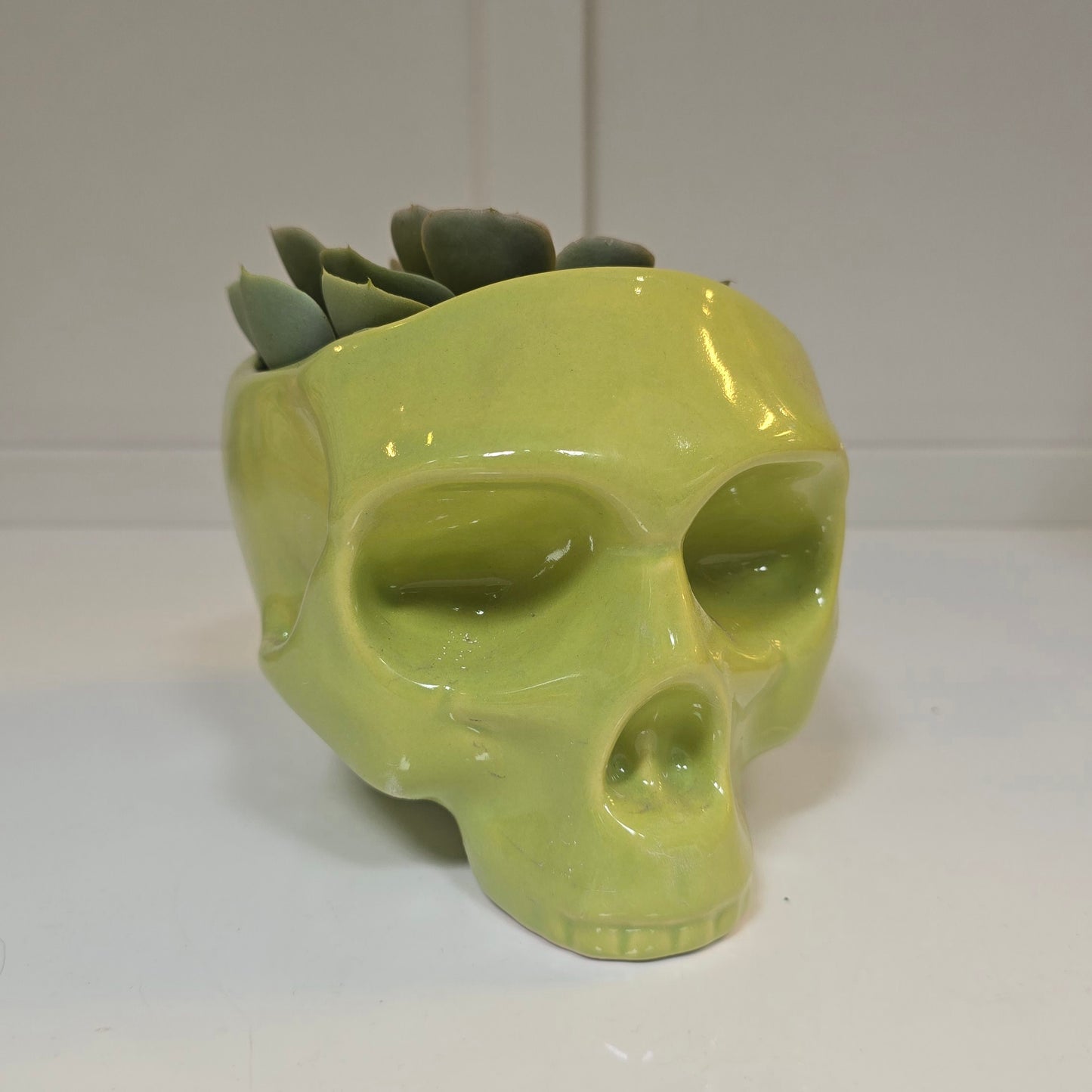 💀 Maceta Calavera Verde – Edición Funky Skull