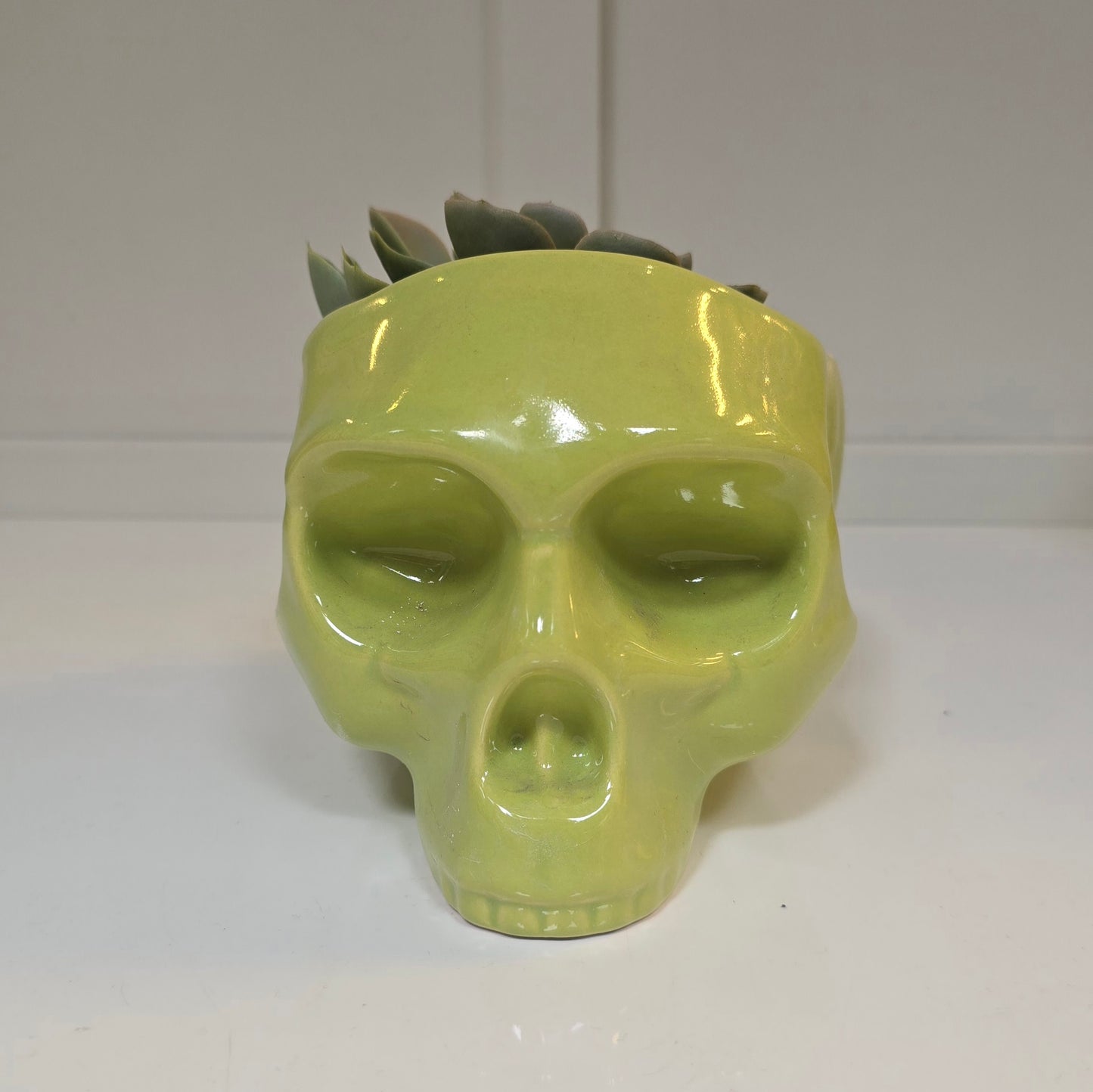 💀 Maceta Calavera Verde – Edición Funky Skull