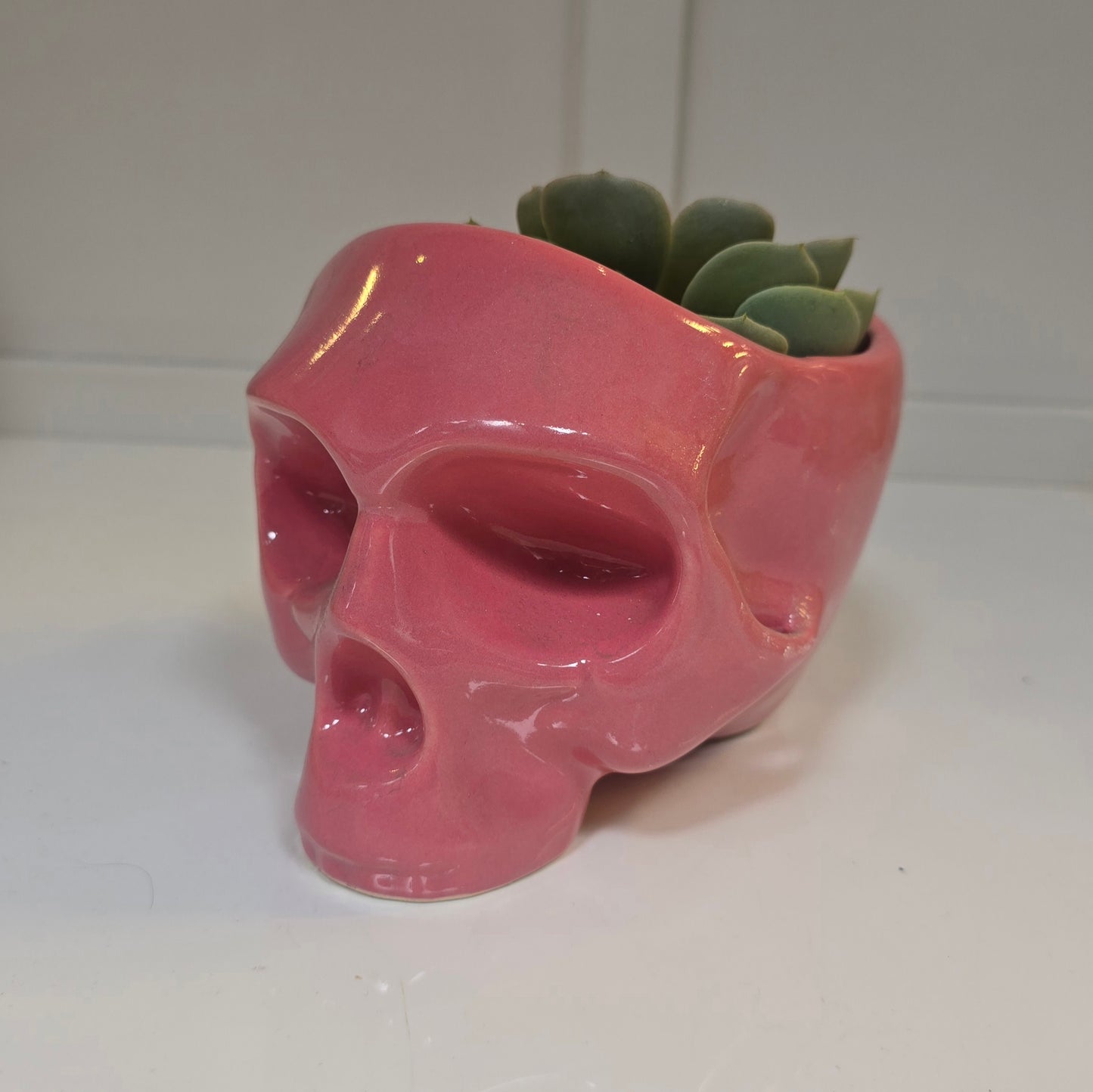 💀 Maceta Calavera Rosa – Edición Sweet Rebel