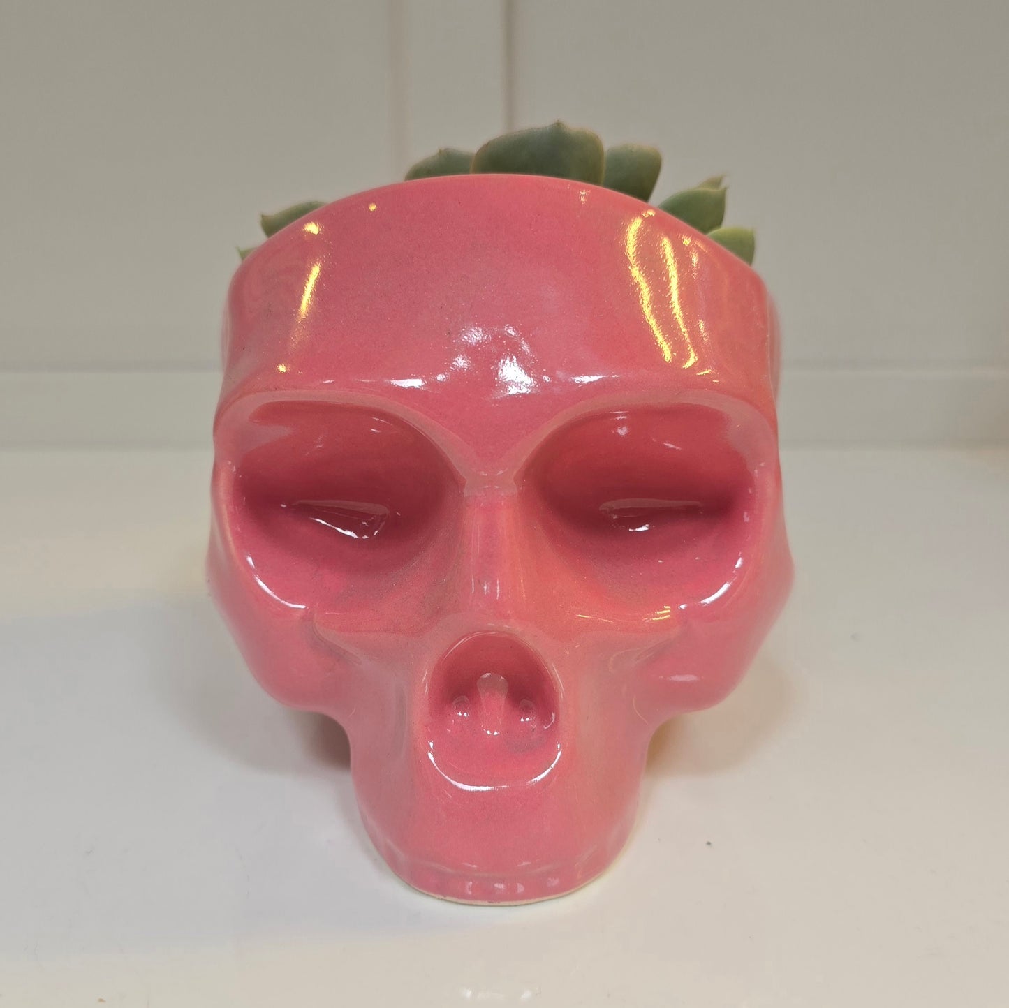 💀 Maceta Calavera Rosa – Edición Sweet Rebel