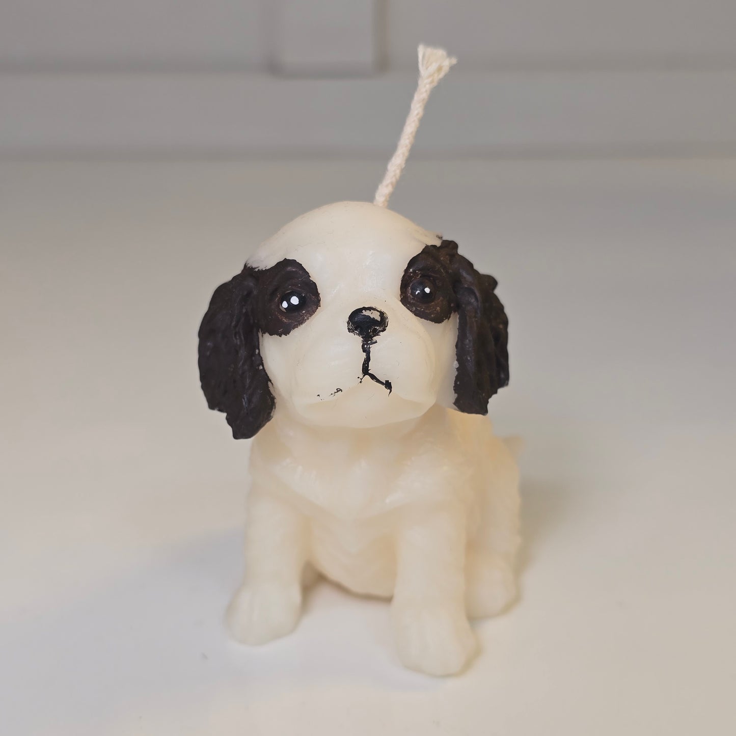 🐶💖 Vela Perrito Con Orejitas Cafes
