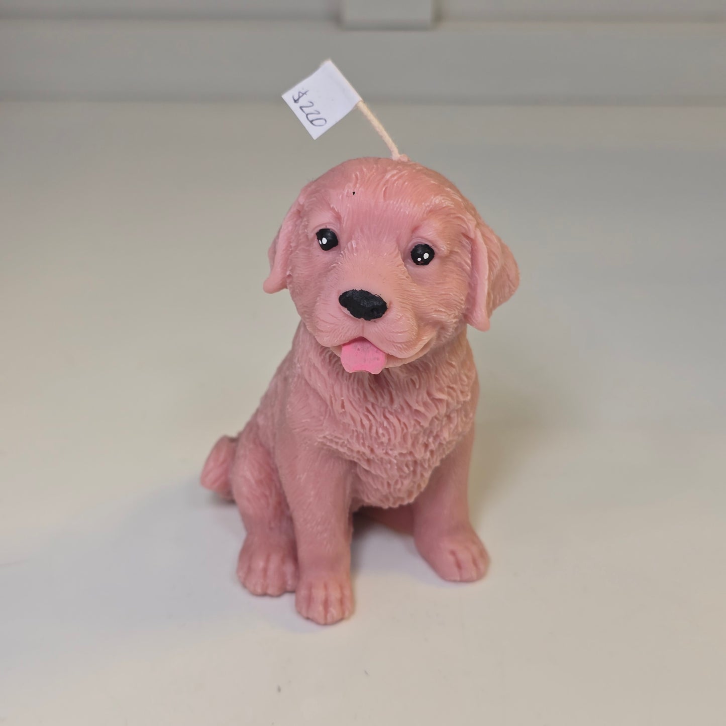 🐶💛 Vela perrito sonriente con lengüita
