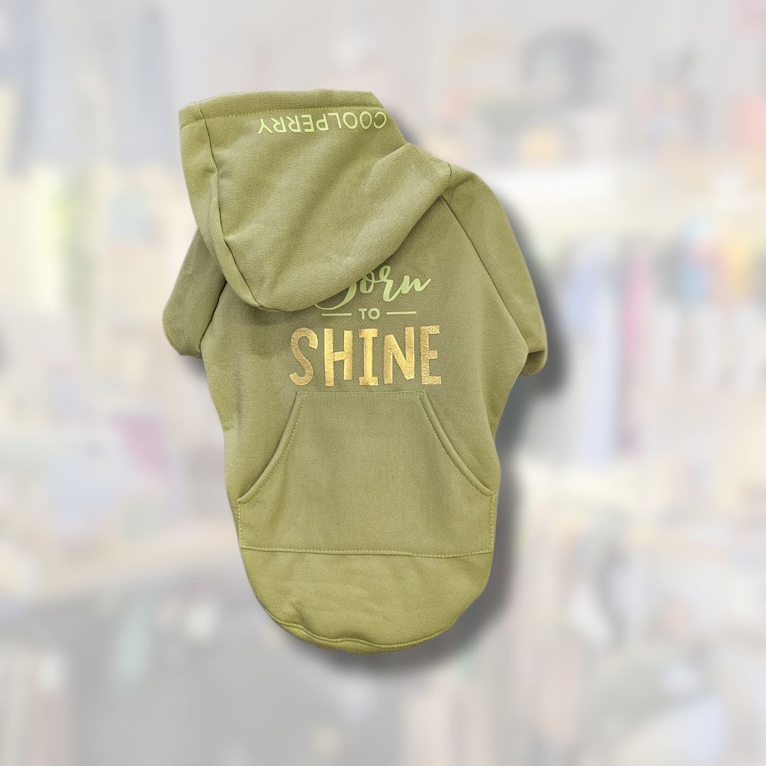 Sudadera Born To Shine Verde Pistache Para Perrito