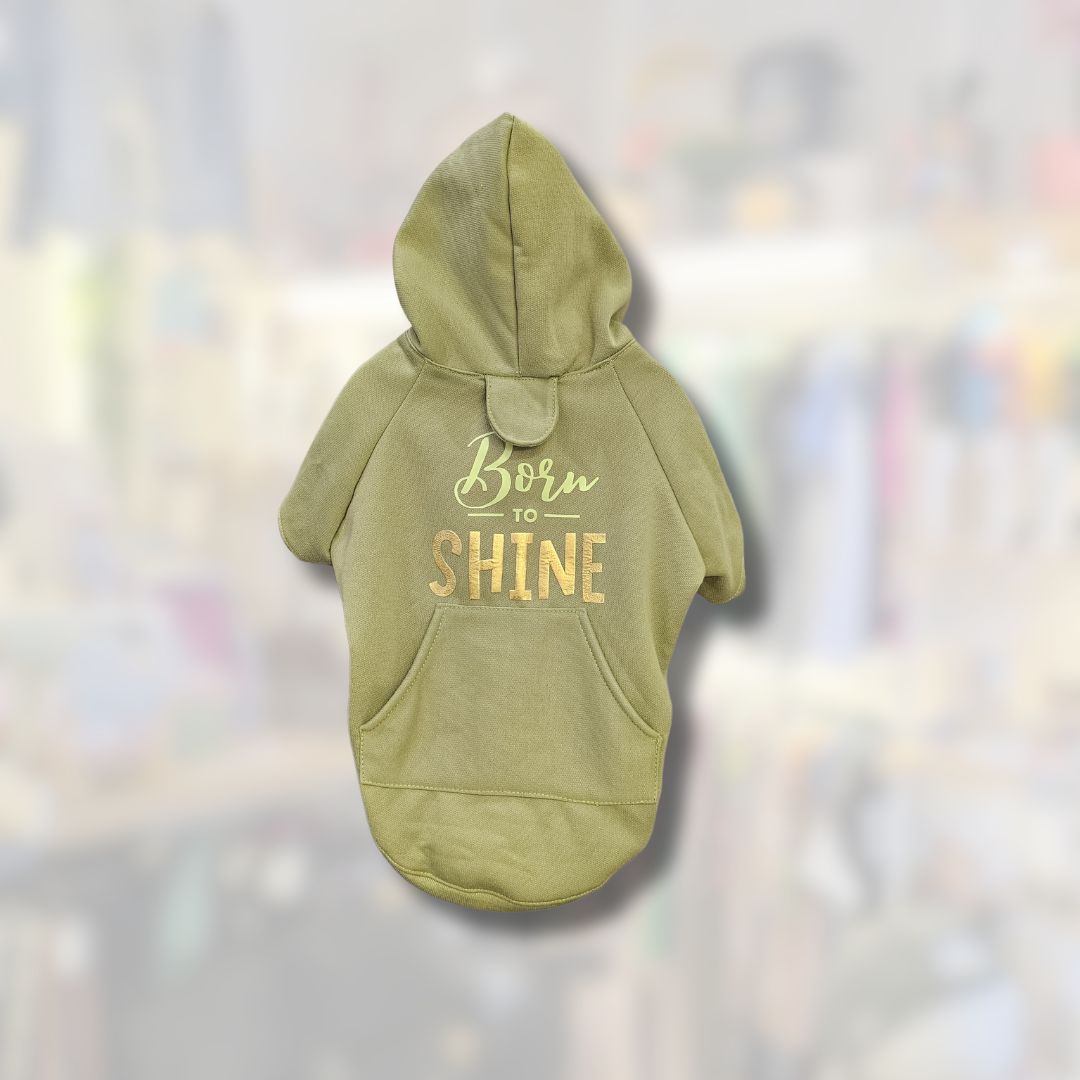 Sudadera Born To Shine Verde Pistache Para Perrito