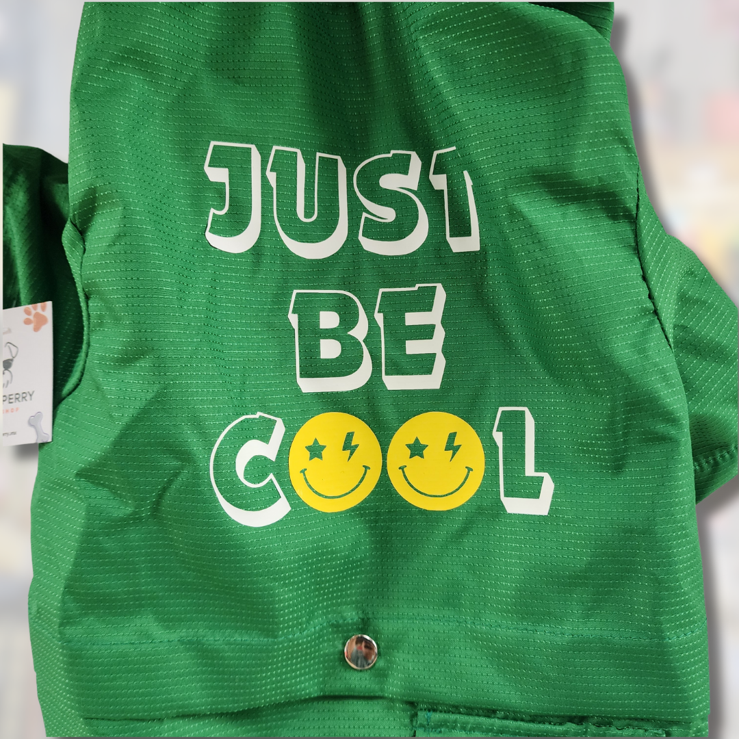 Impermeable JUST BE COOL verde para Perrito