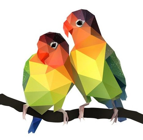 Paint by Numbers - Pericos