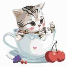 Paint by Numbers - Gatito Taza