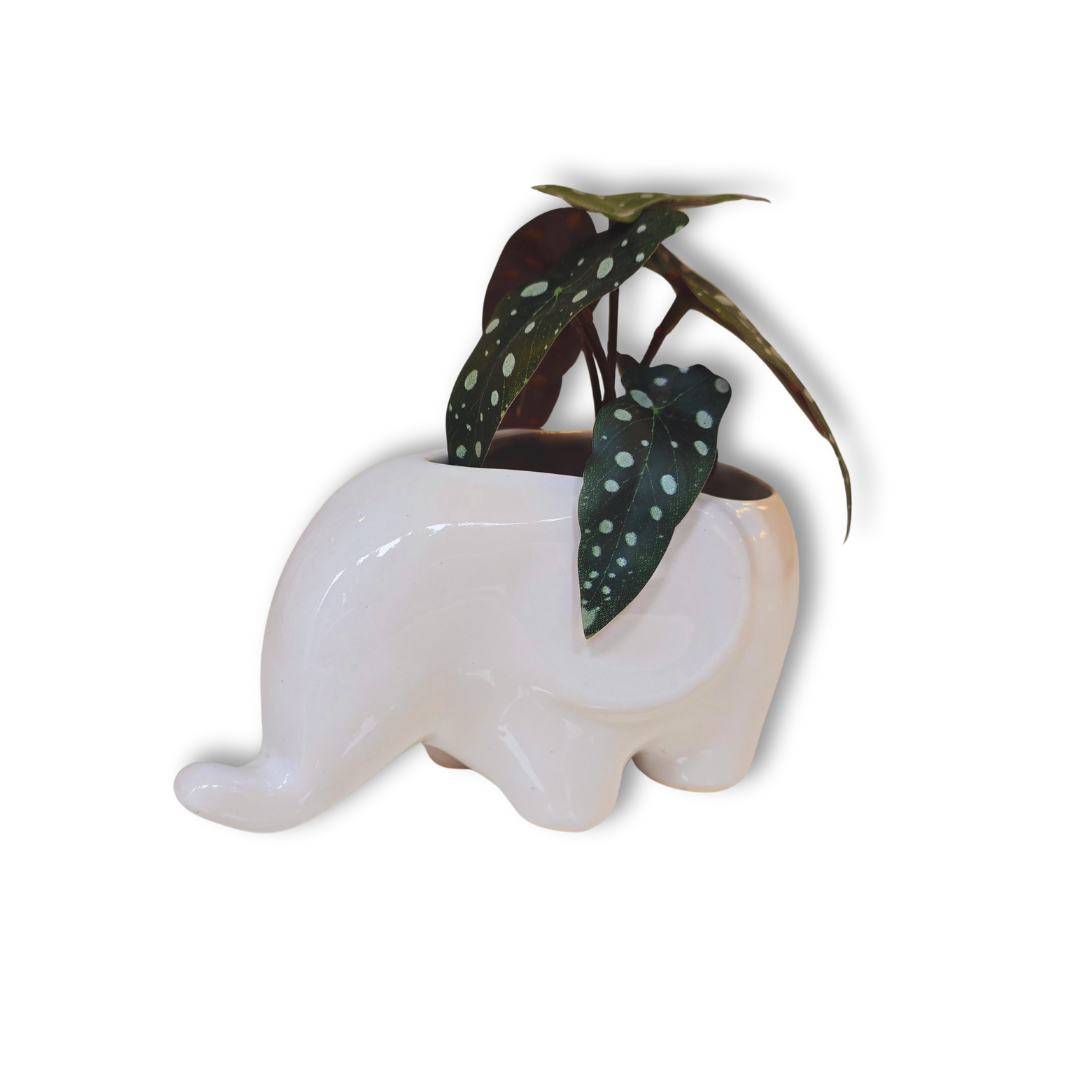 🐘 Maceta Elefante – Blanco Suave