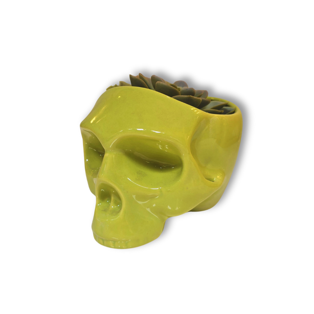 💀 Maceta Calavera Verde – Edición Funky Skull