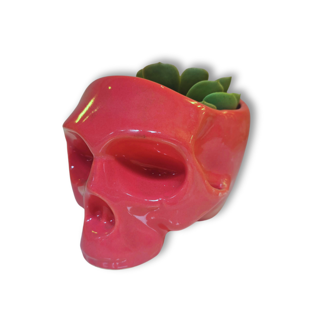 💀 Maceta Calavera Rosa – Edición Sweet Rebel