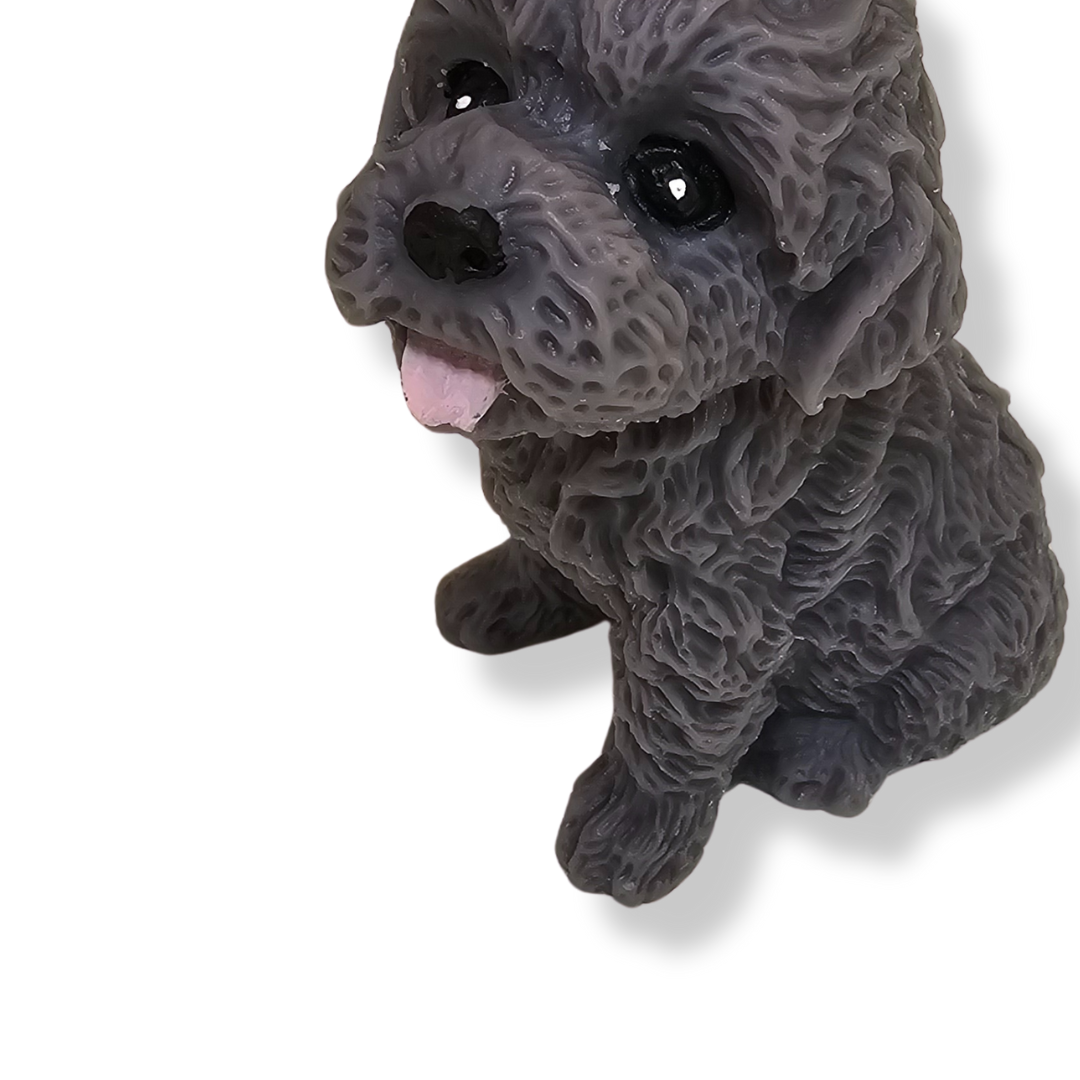🐶🐾 Perrito Gris Pelo Rizado