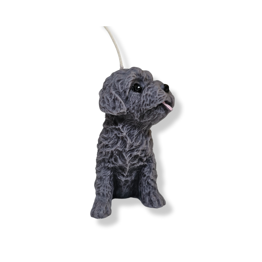🐶🐾 Perrito Gris Pelo Rizado
