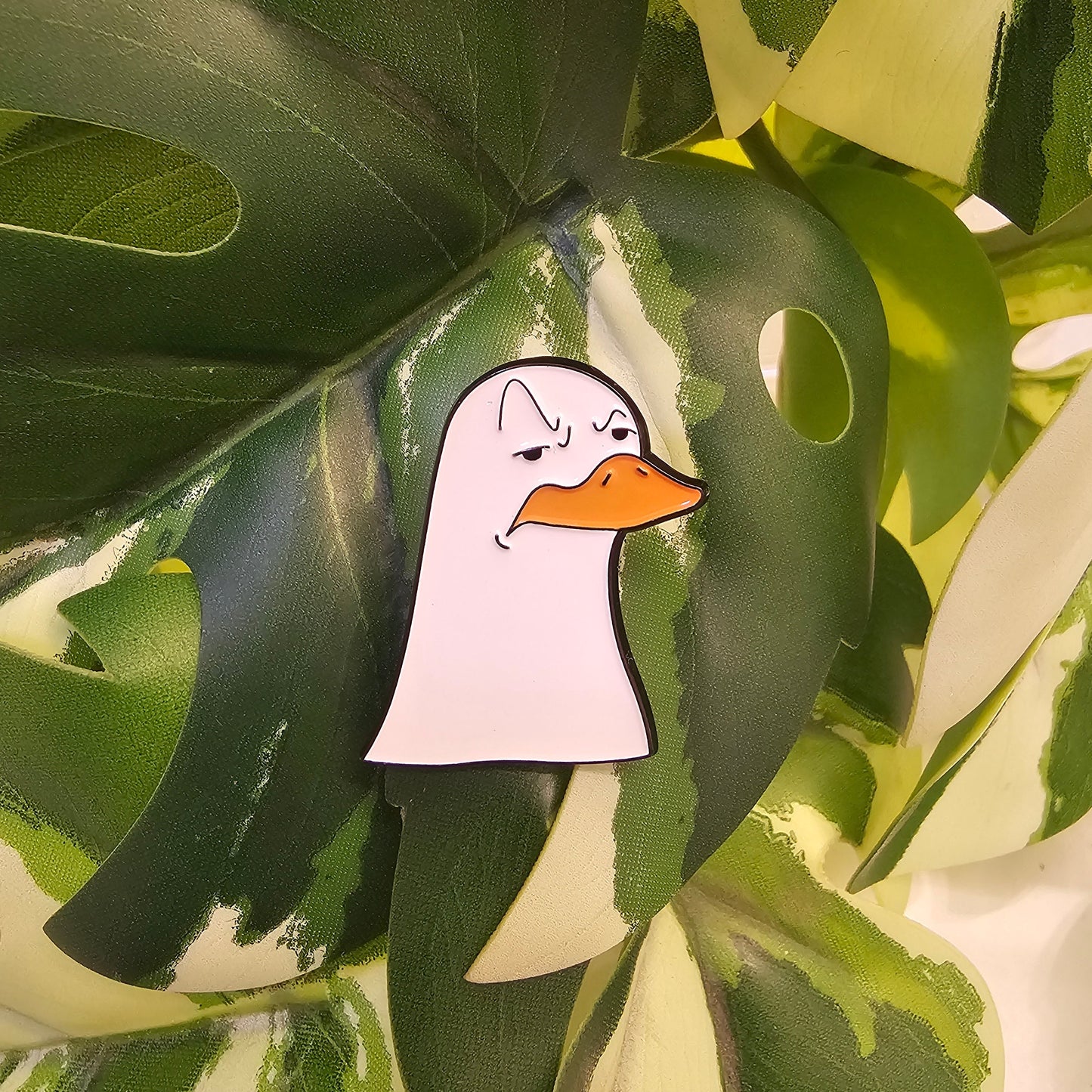 Pin | eh?
