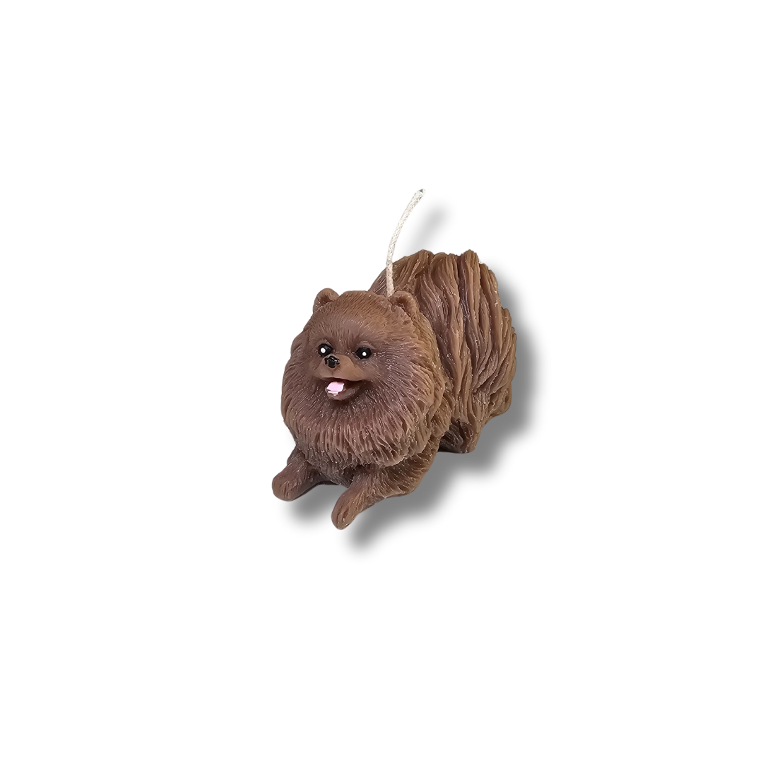 🐕 Perrito Pomerania Café