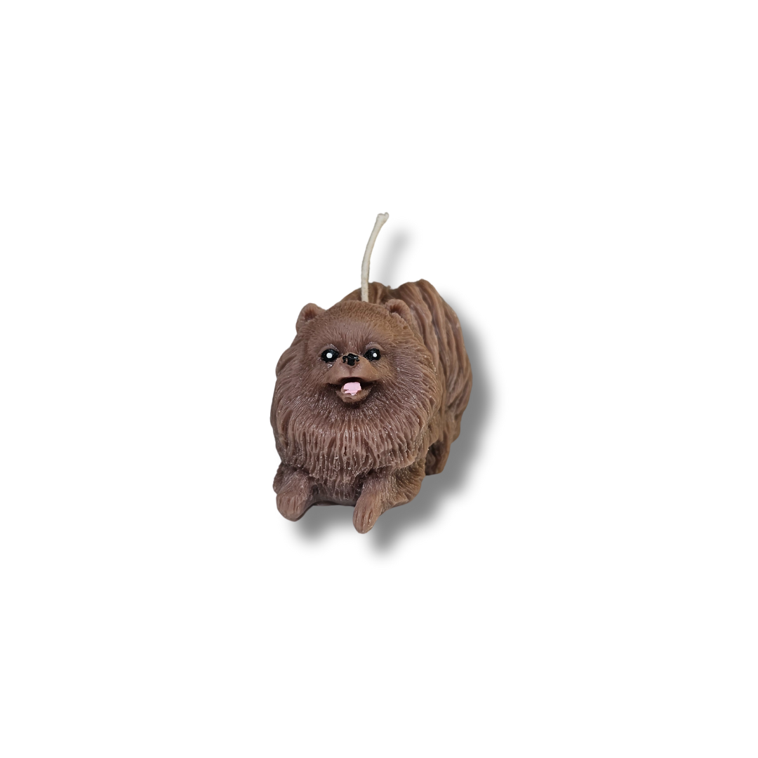 🐕 Perrito Pomerania Café
