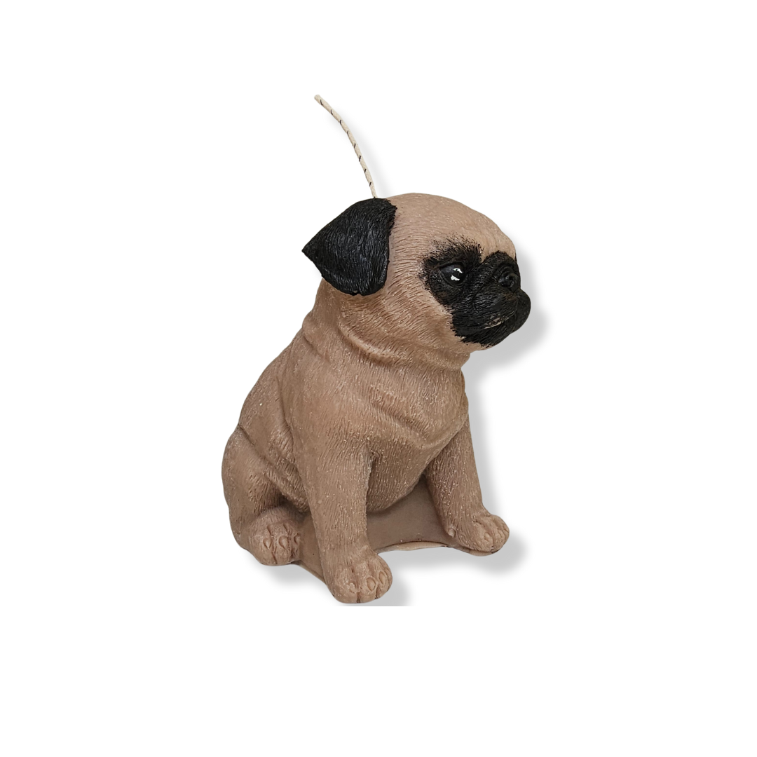✨ Don Pugberto ✨