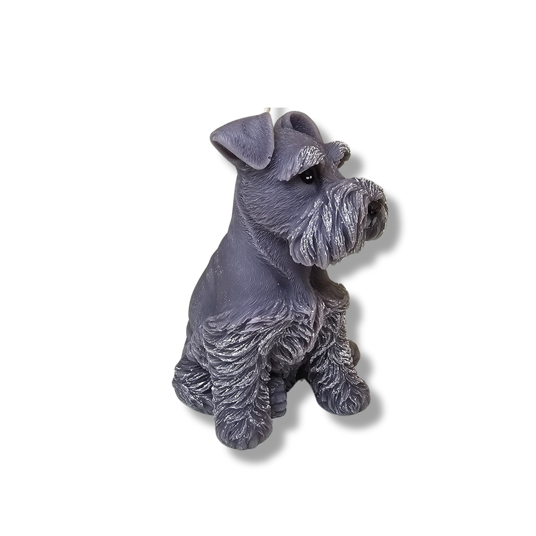 🐾 💛 Vela Perrito Bigotón Gris