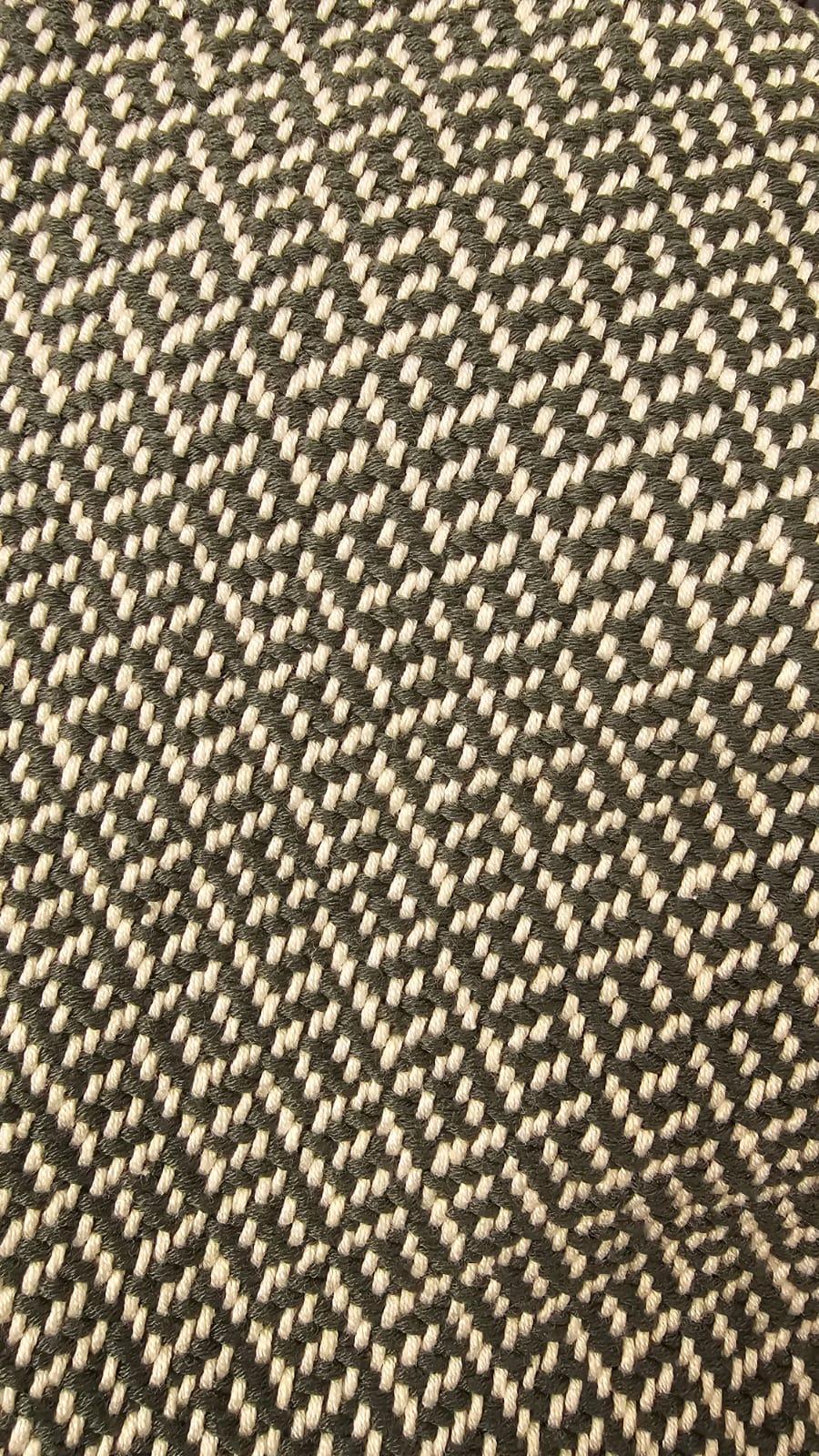 Multiusos | Selva | Grande
