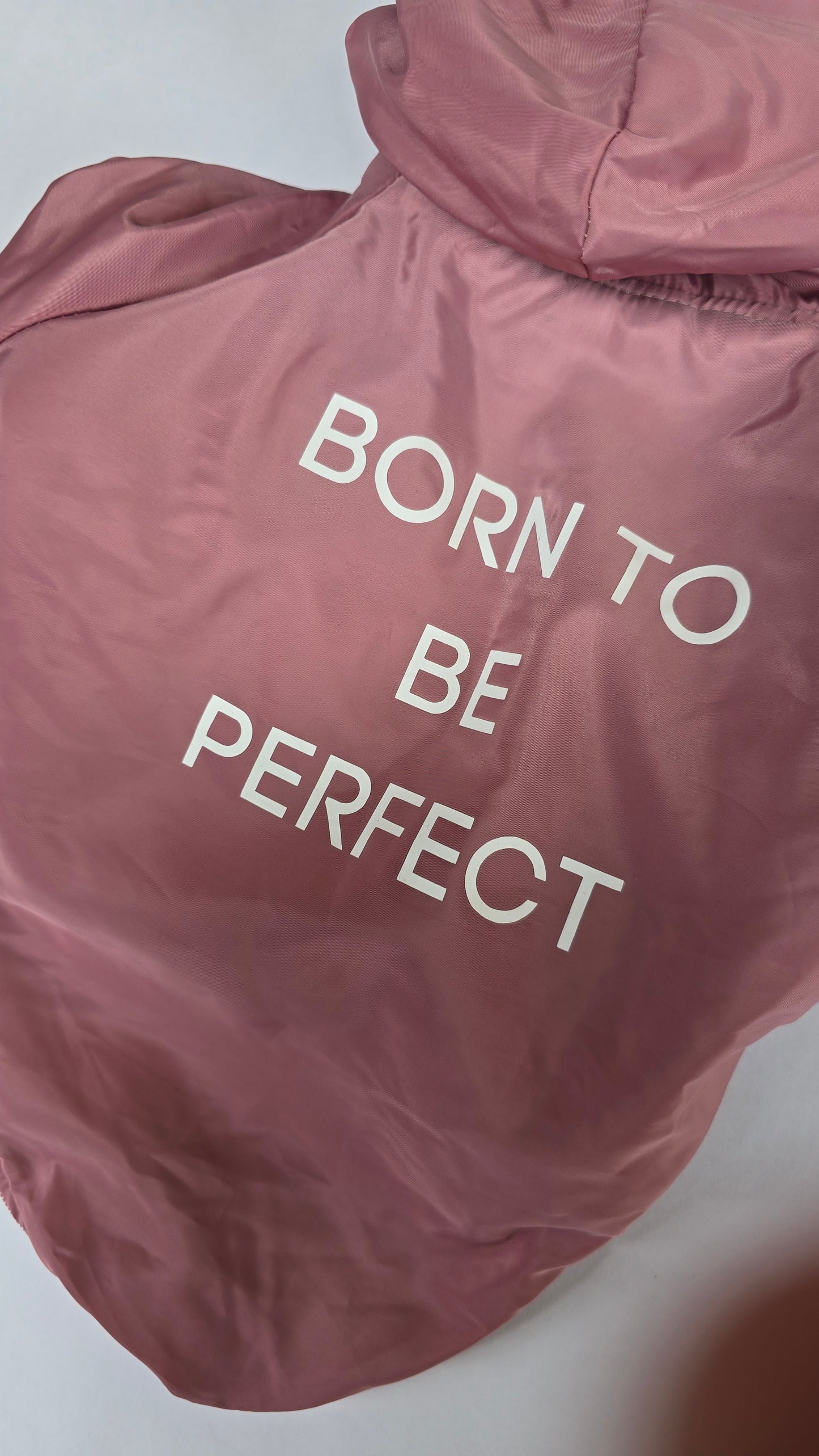 Chamarra Born To Be Perfect Rosa Para Perrito