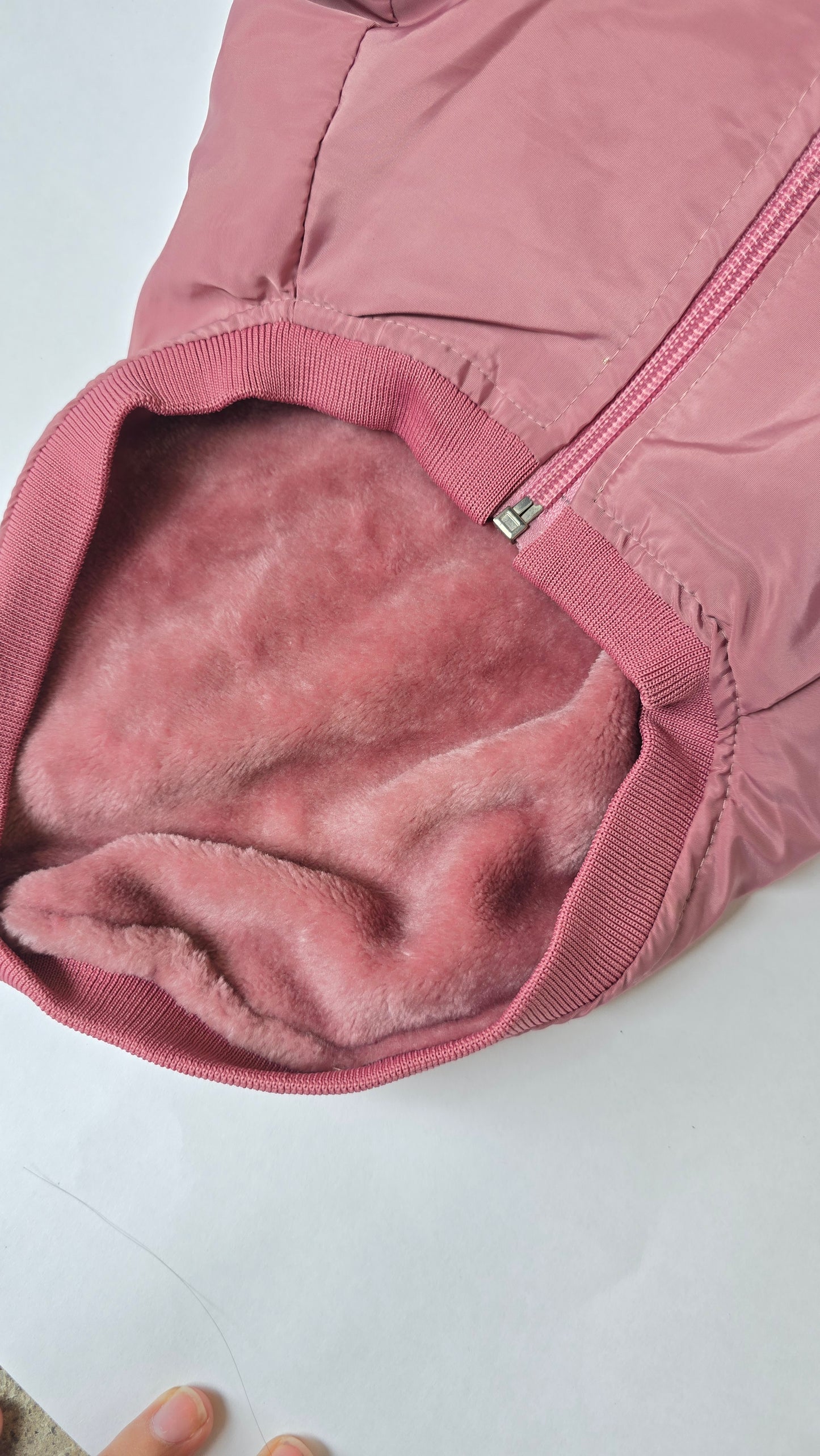 Chamarra Born To Be Perfect Rosa Para Perrito