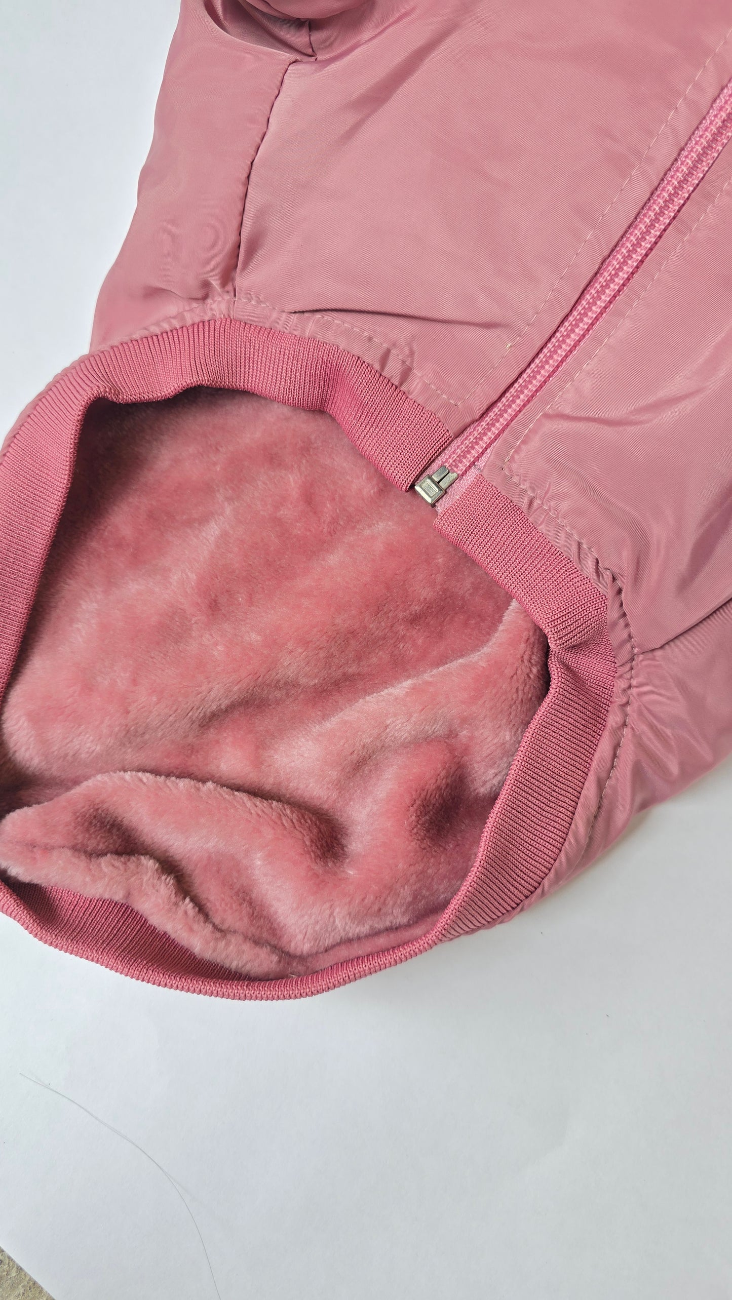 Chamarra Born To Be Perfect Rosa Para Perrito
