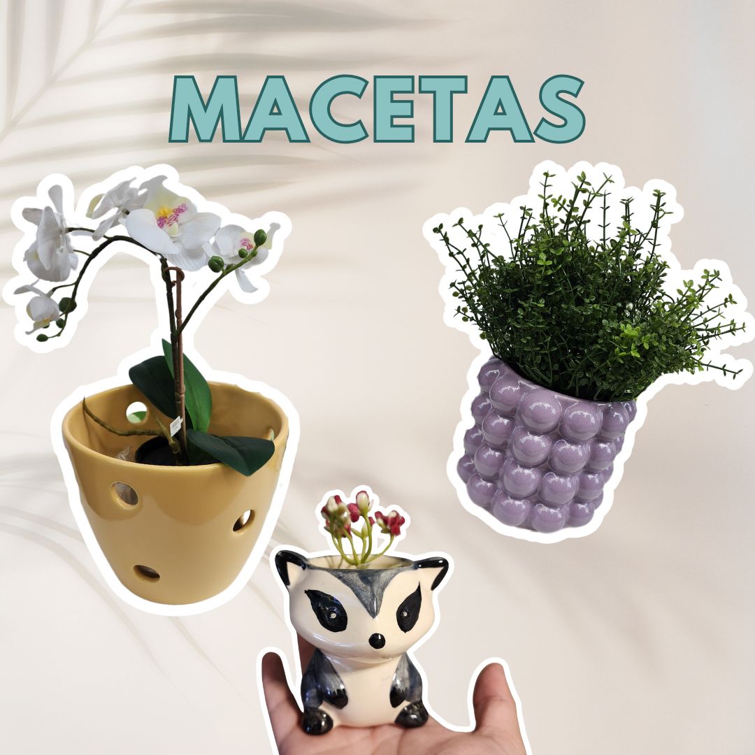 Macetas